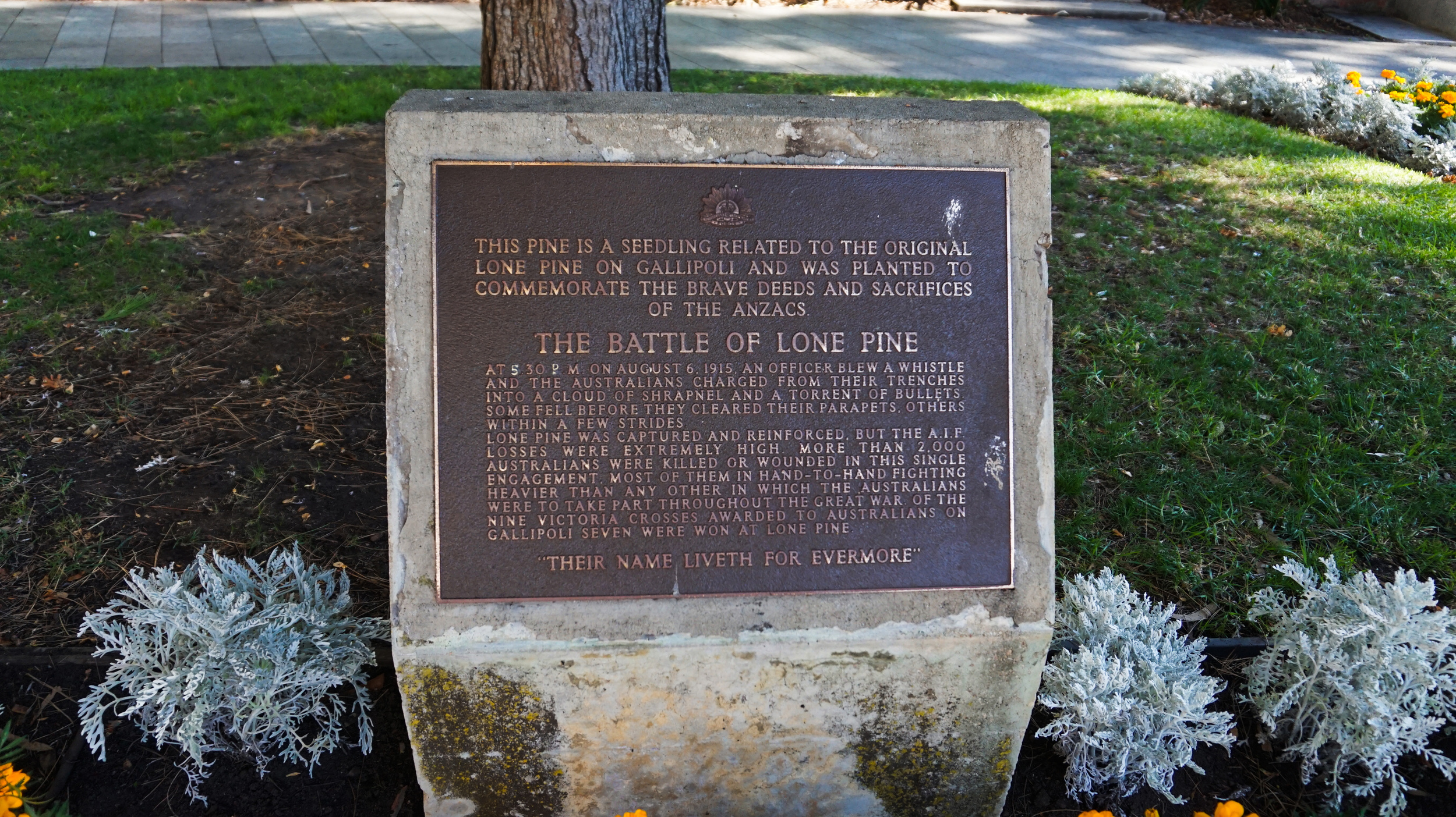 20210331raaf 100th 48