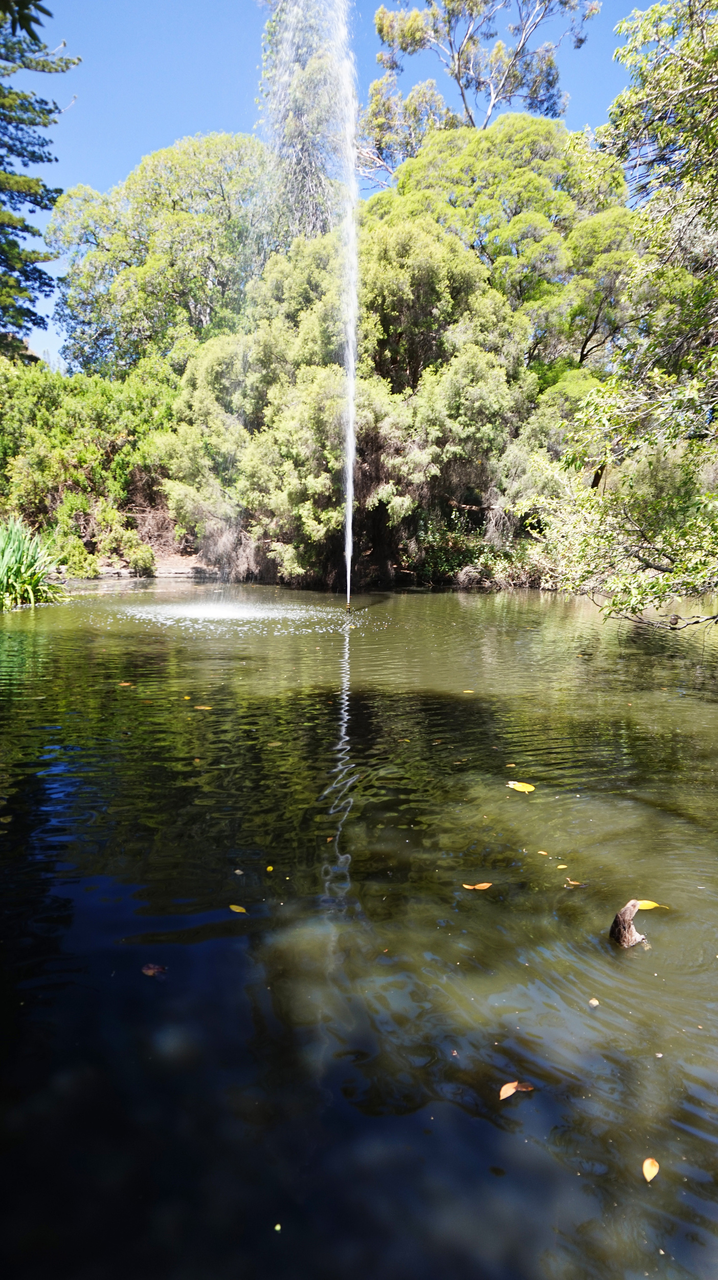 WM Adelaide USA SA 06