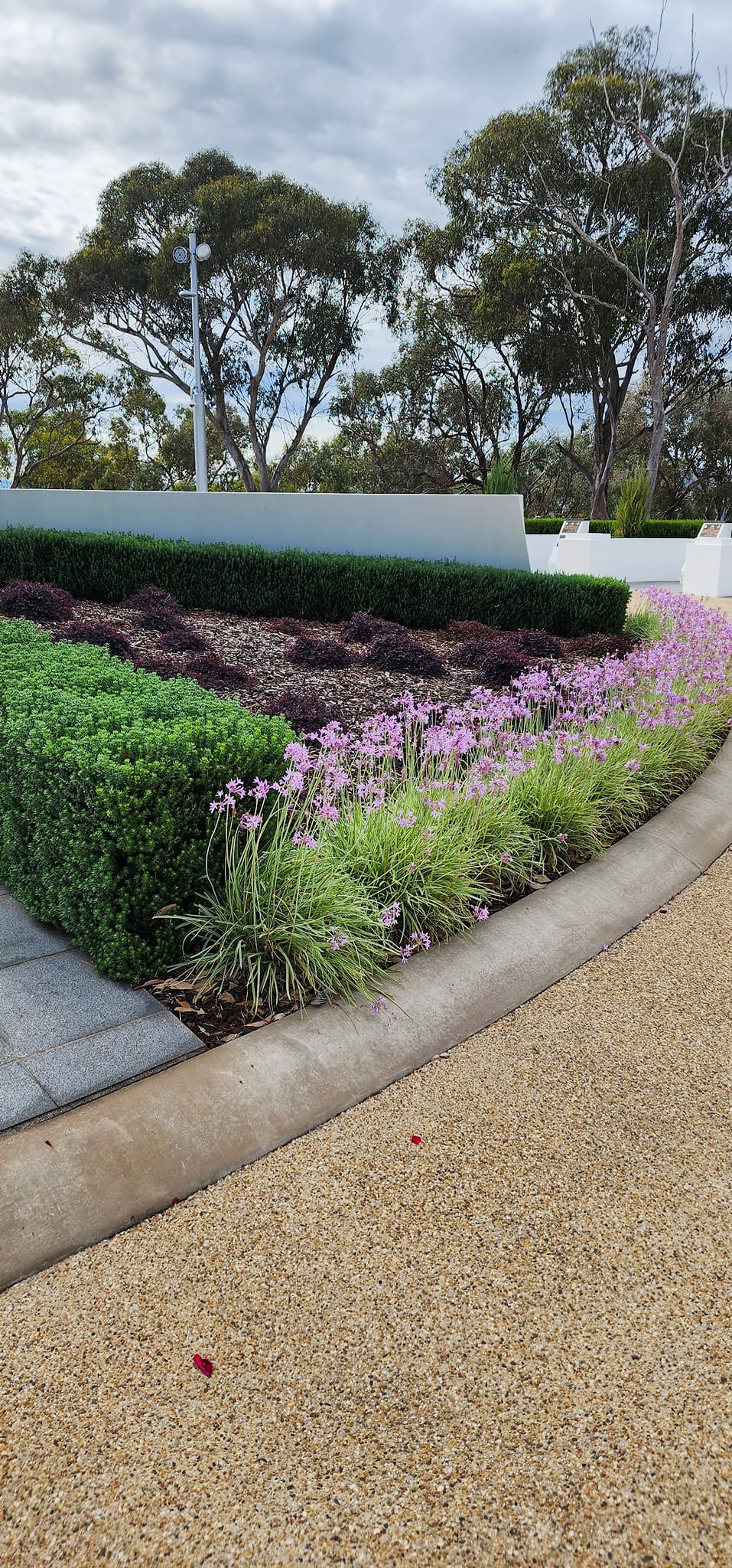 WM Albury NSW Szuna 11