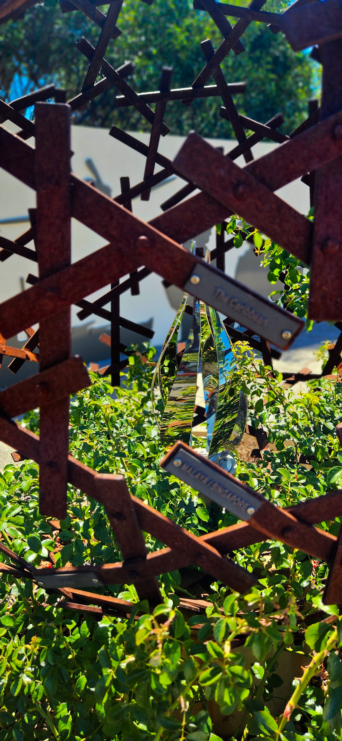 WM Campbelltown Oval SA 13