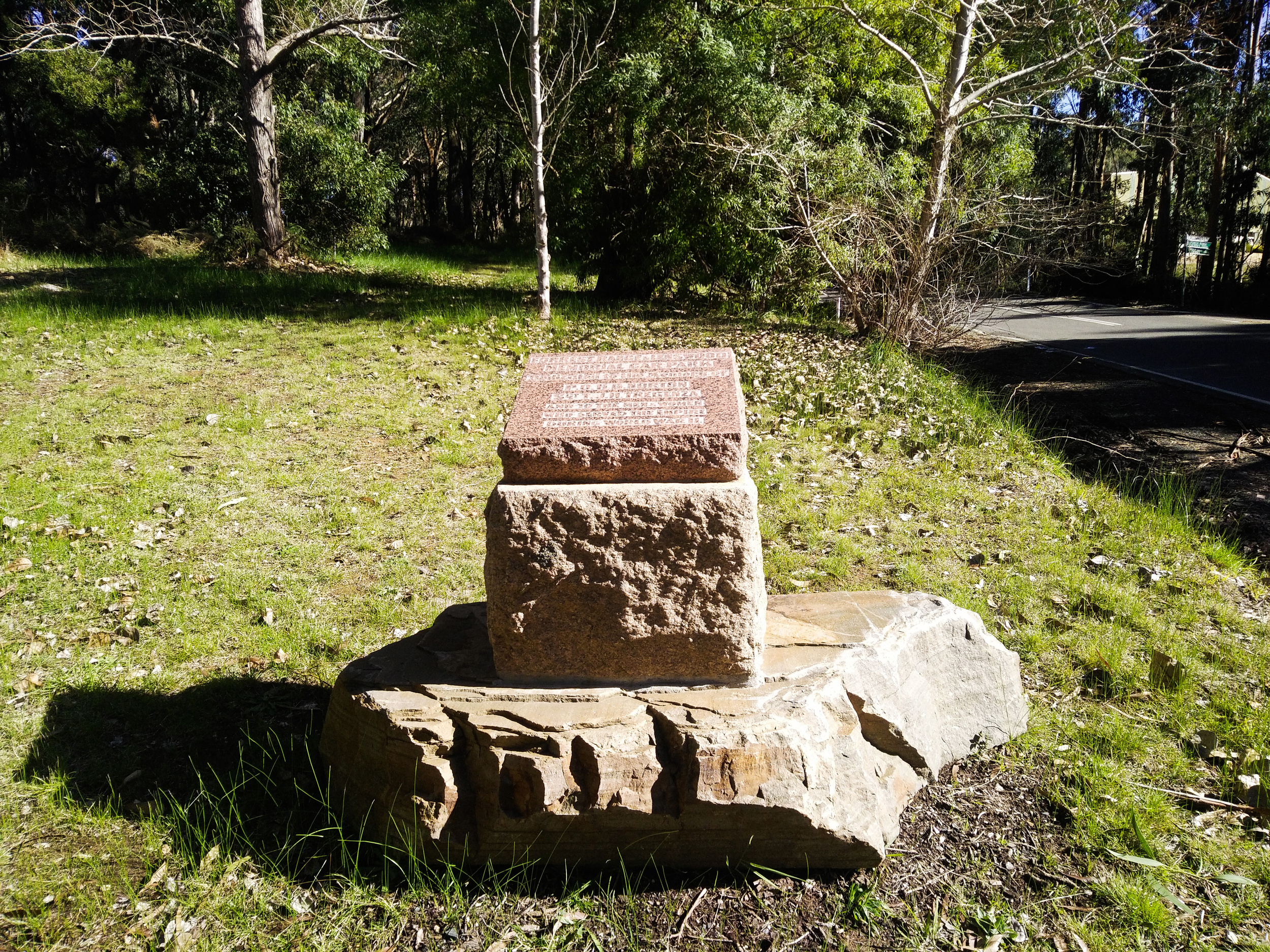 WM Lenswood Forest Range SA 03