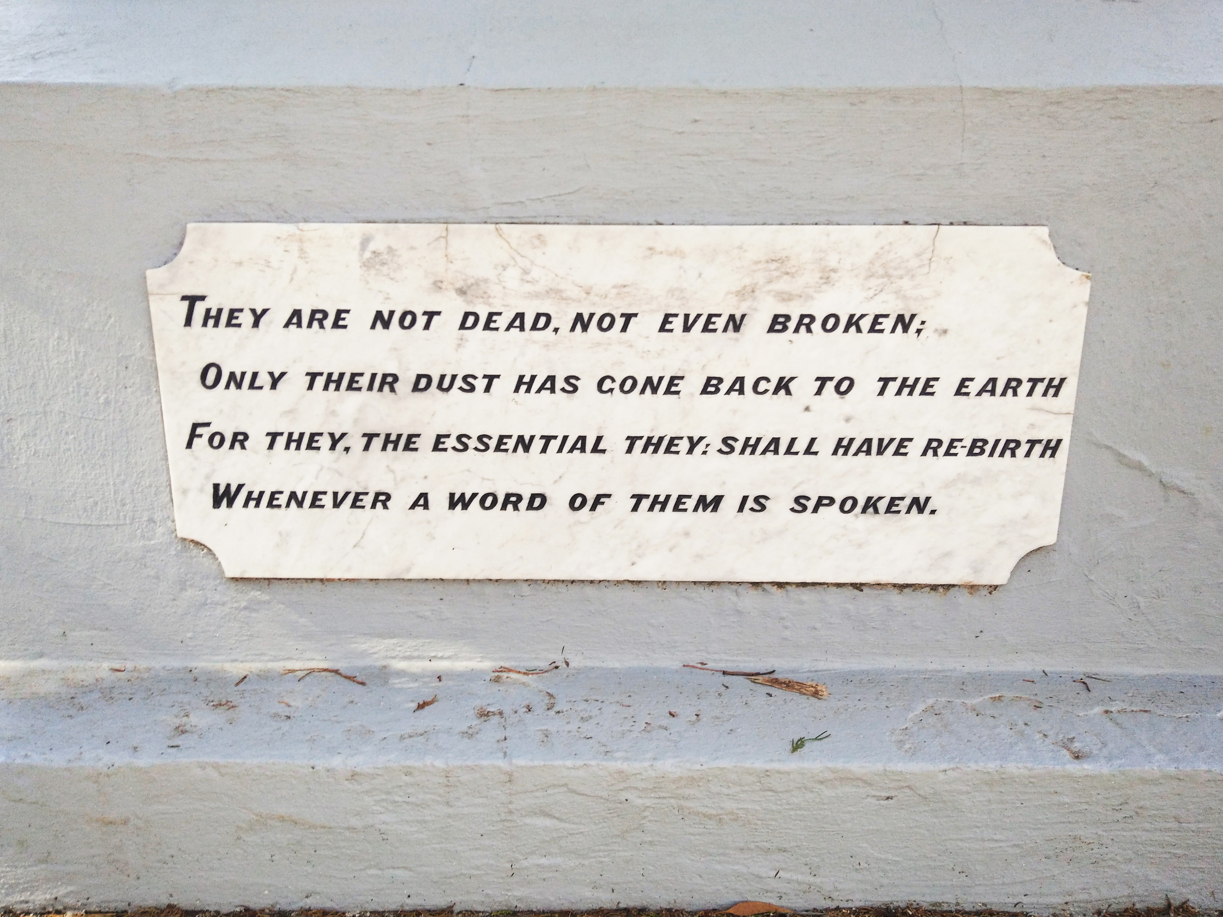 WM Lenswood Forest Range SA 09