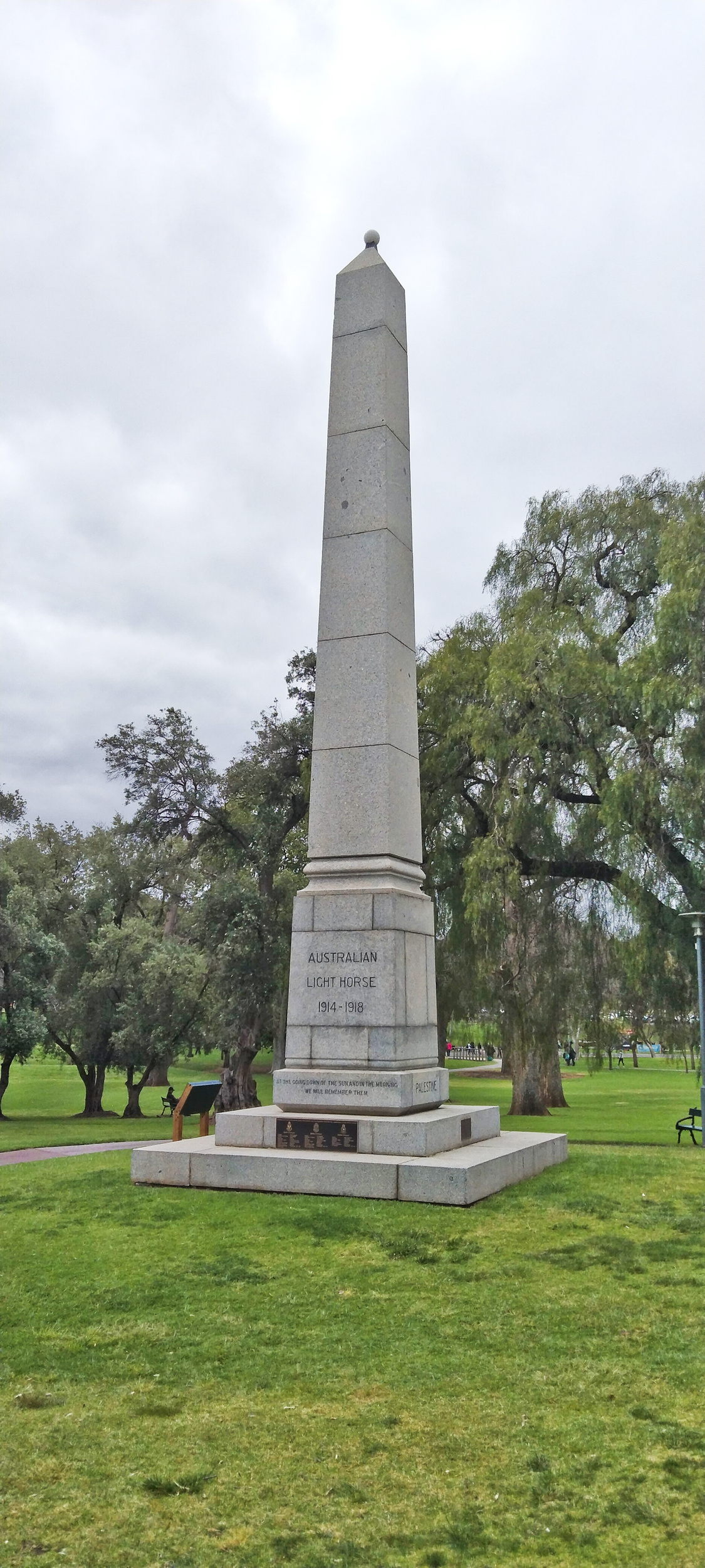 WM Light Horse SA 11