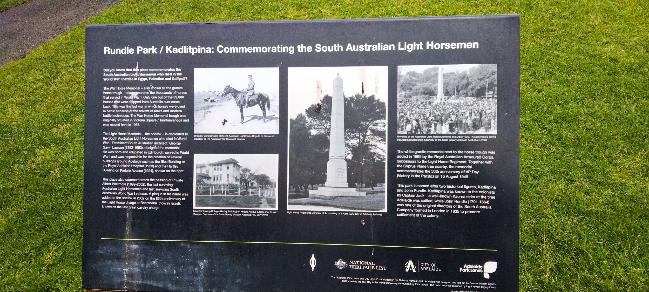 WM Light Horse SA 12