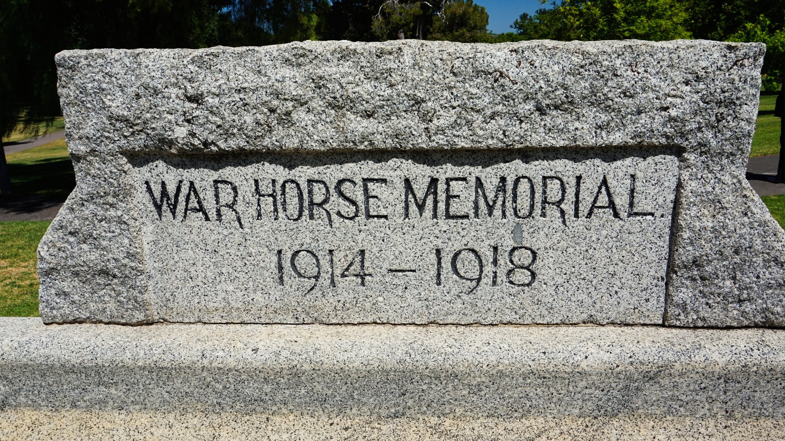 WM Light Horse SA 16