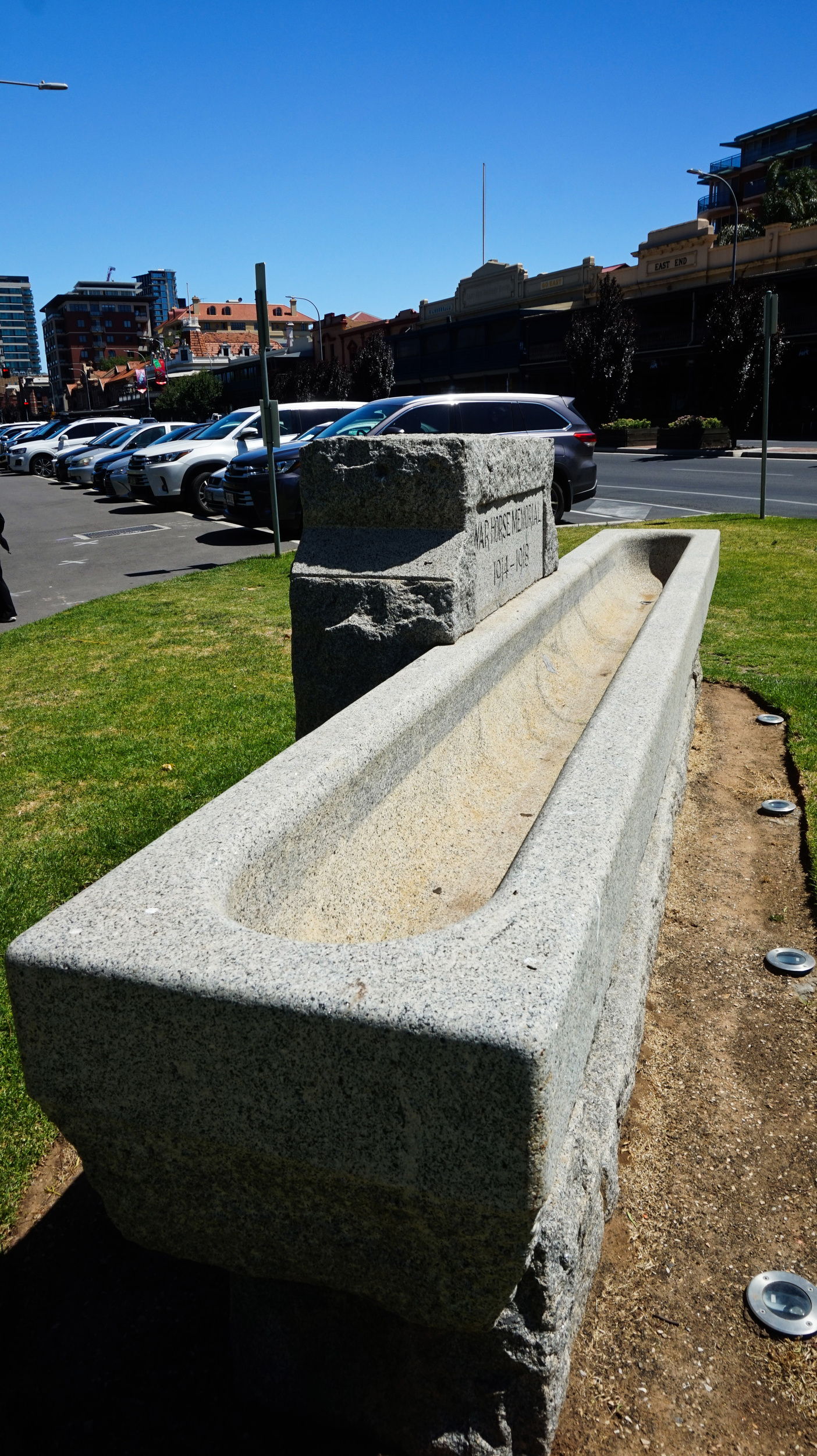 WM Light Horse SA 17