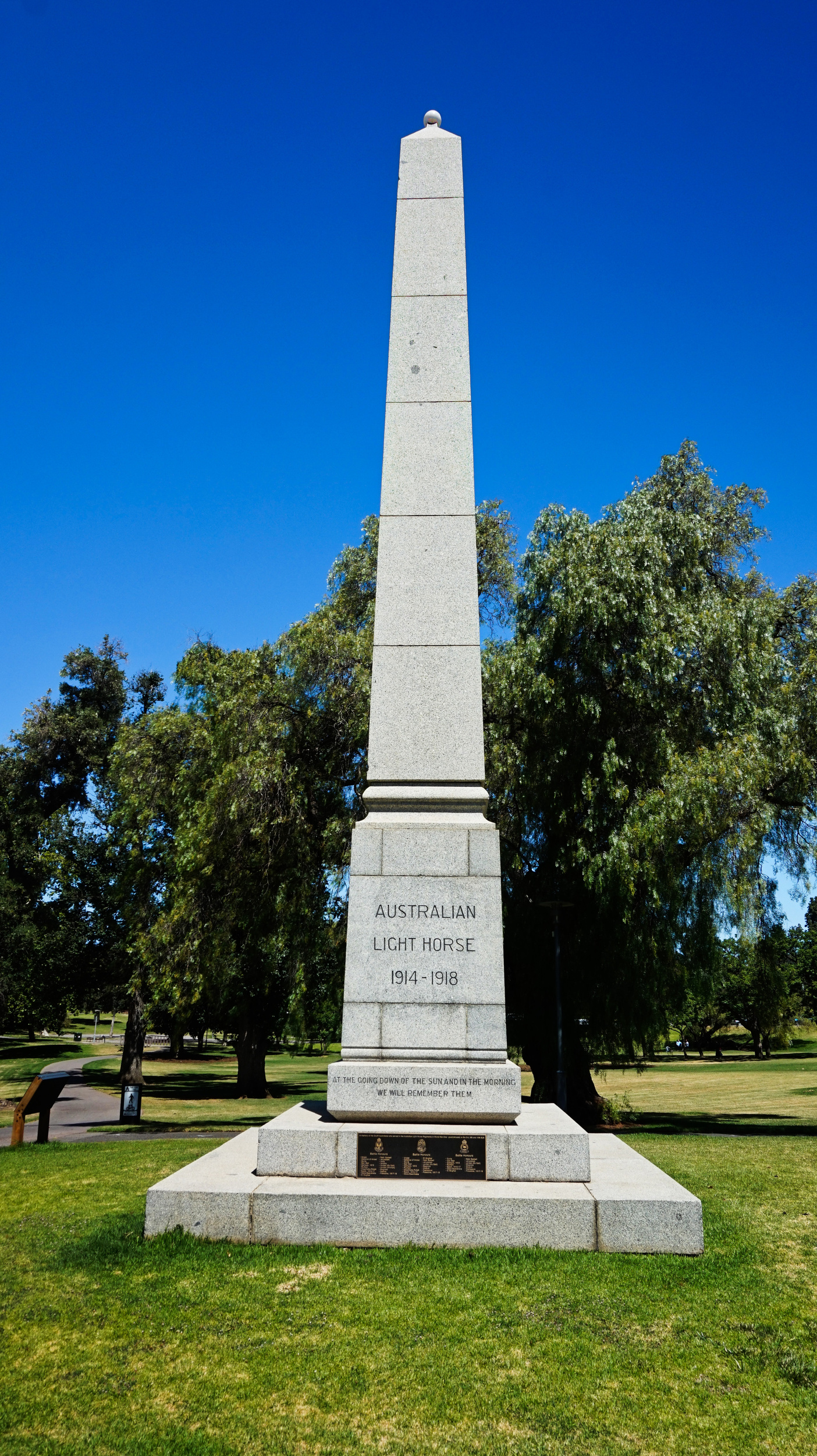 WM Light Horse SA 18