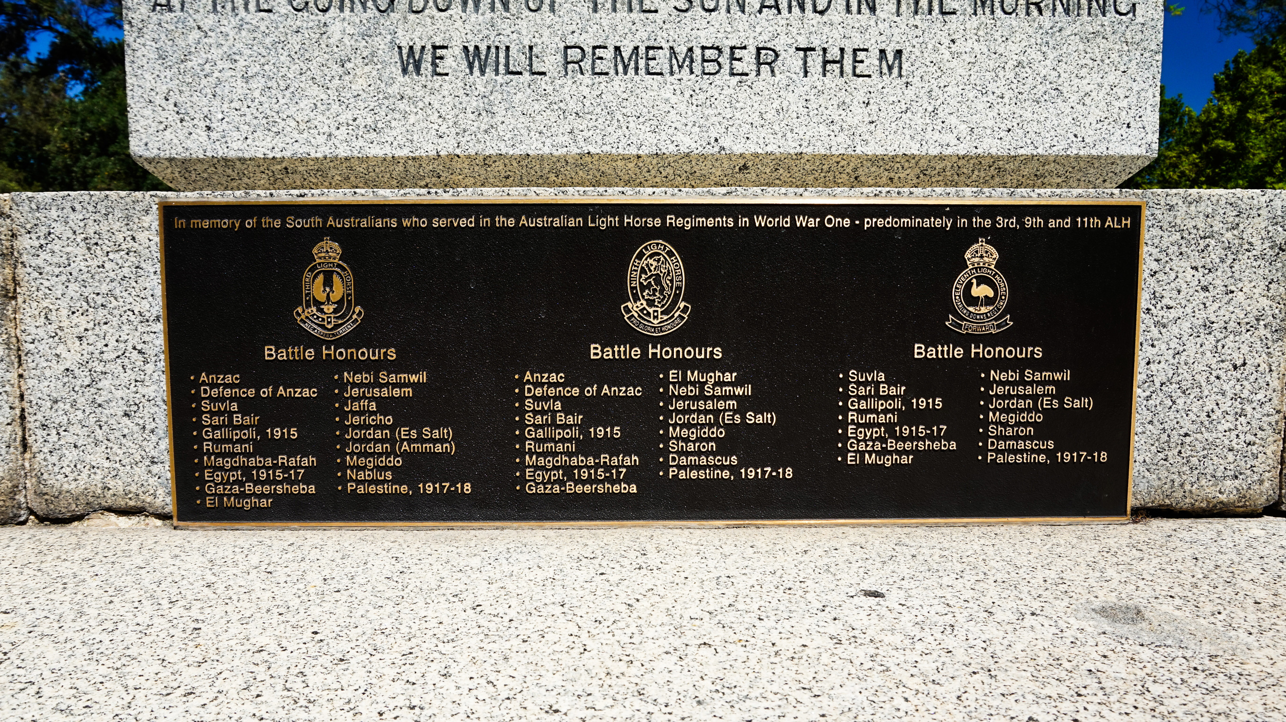 WM Light Horse SA 20