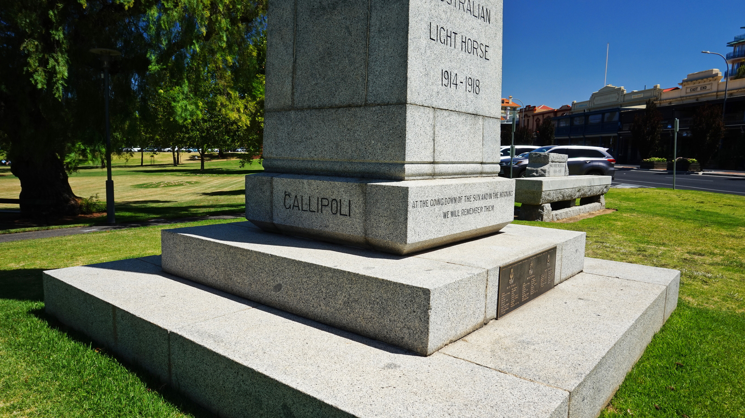 WM Light Horse SA 21