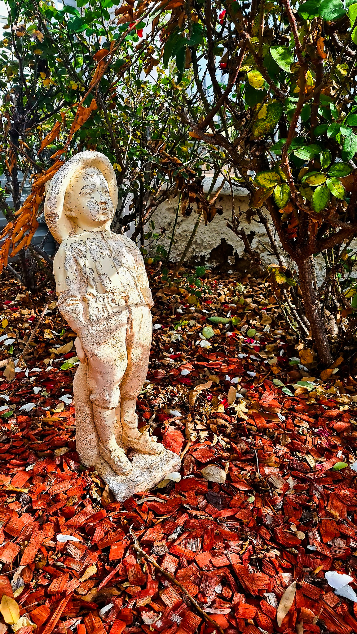 WM Port Germein SA Robbie Middleton 03