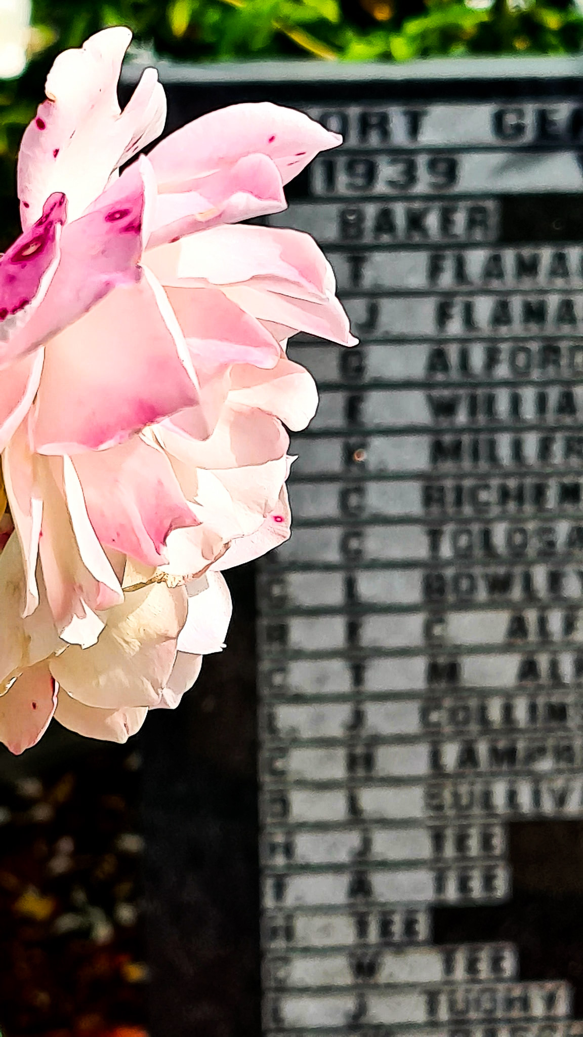 WM Port Germein SA Robbie Middleton 04