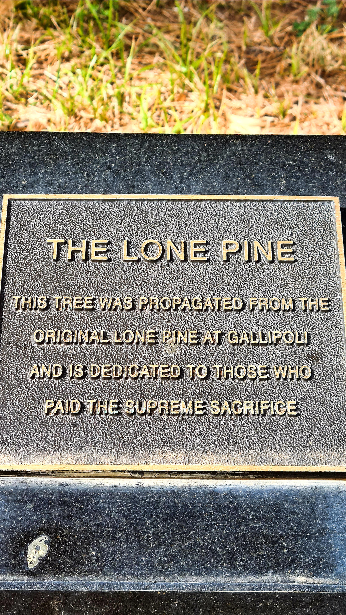 WM Port Germein SA Robbie Middleton 10