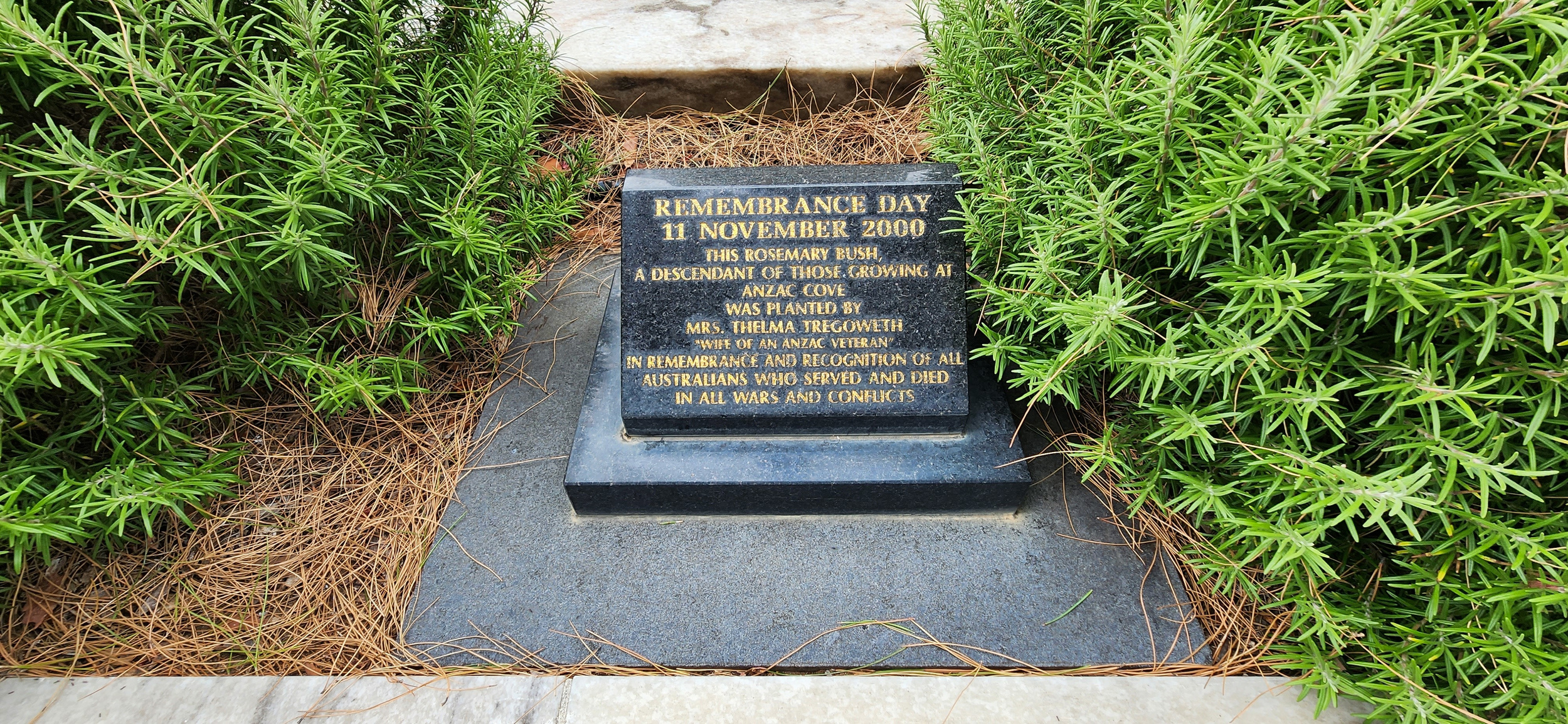 Wm Centennial Park Sa 13