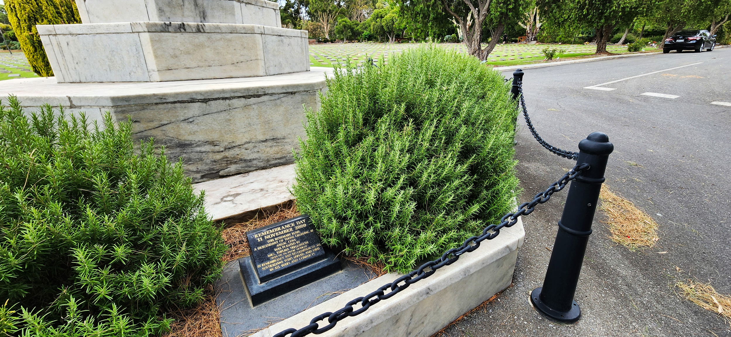 Wm Centennial Park Sa 14