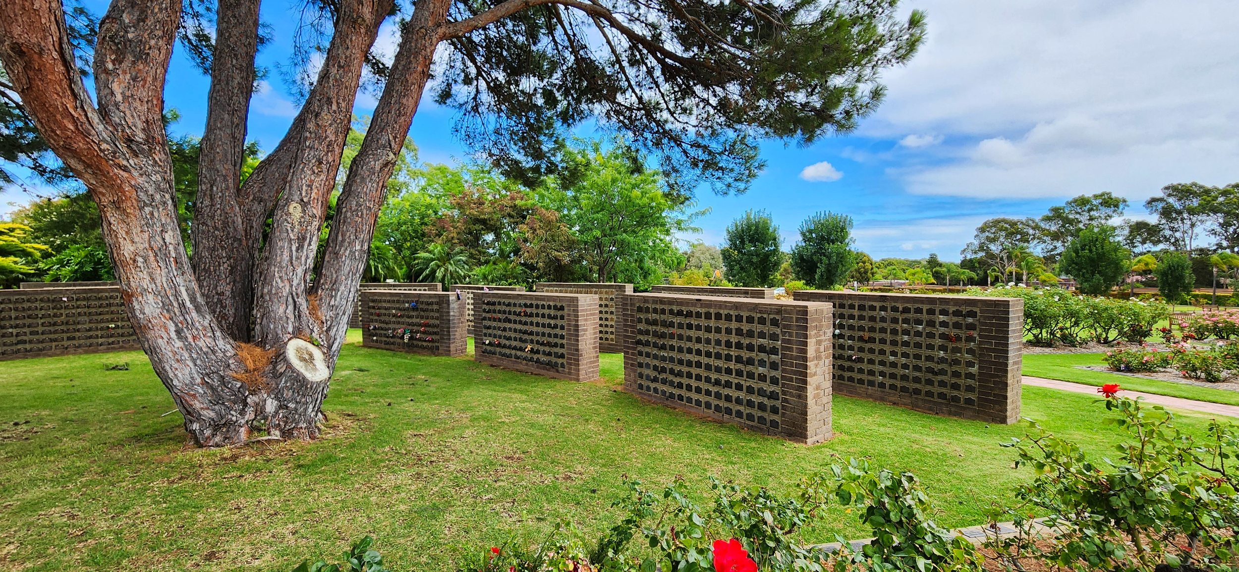 Wm Centennial Park Sa 17